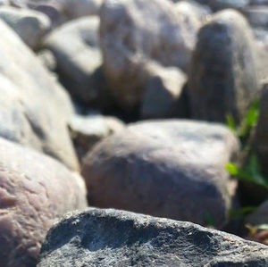 Meet your Posher, Jazmin